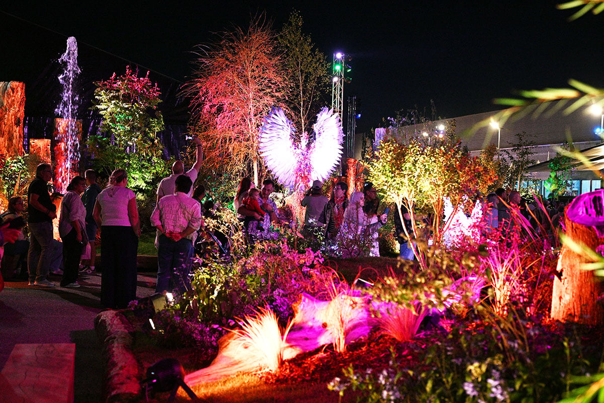 Notre sélection de sorties pour le week-end du 8 au 11 octobre 2026, à Mulhouse