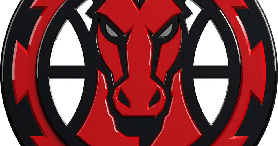 Mulhouse - Berck (basket)