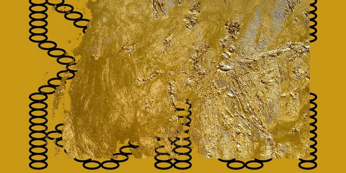 "Persistances" - Hassan Darsi