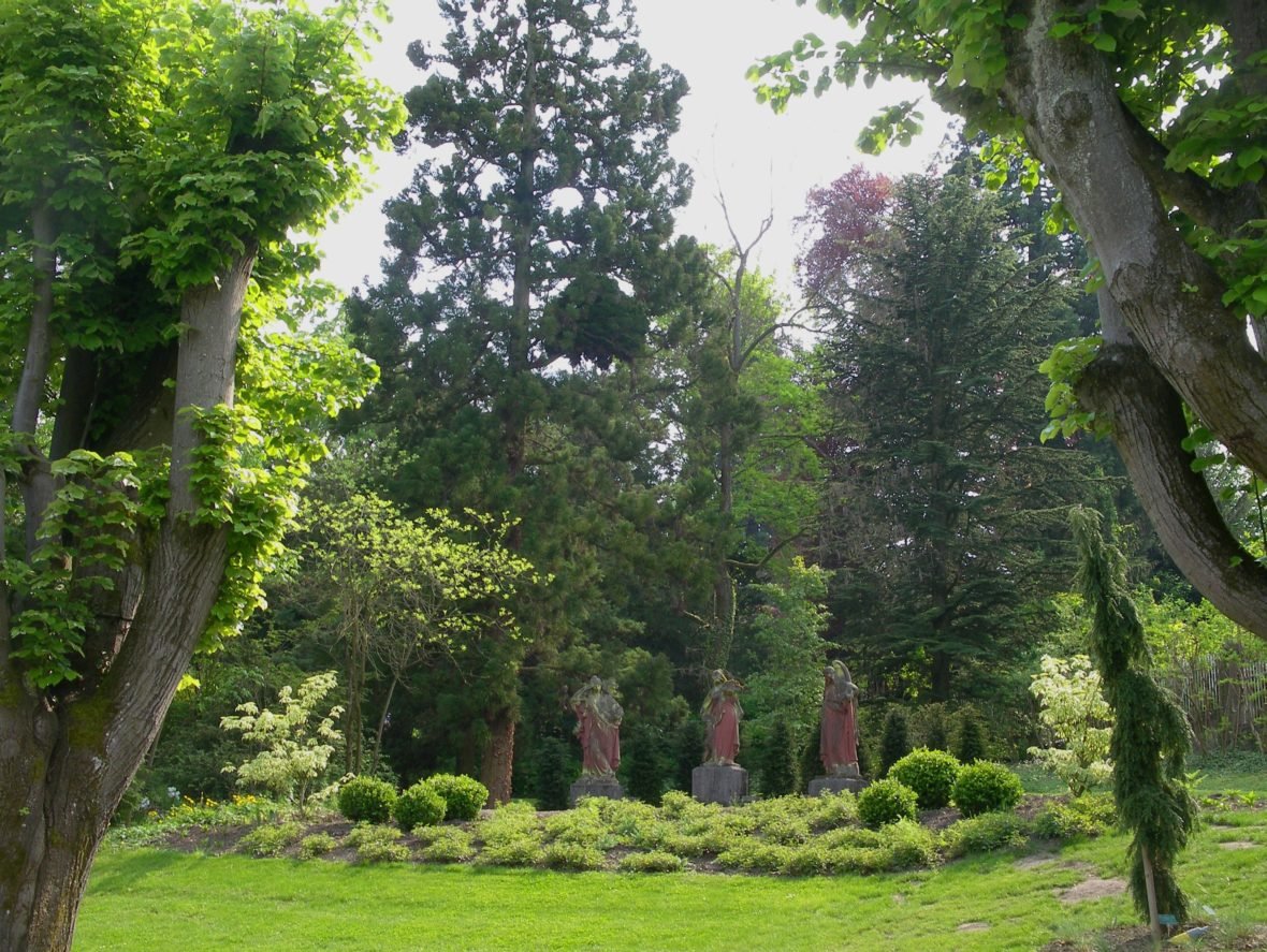 Visite guidée botanique « 150 ans de plantations dans le Parc »