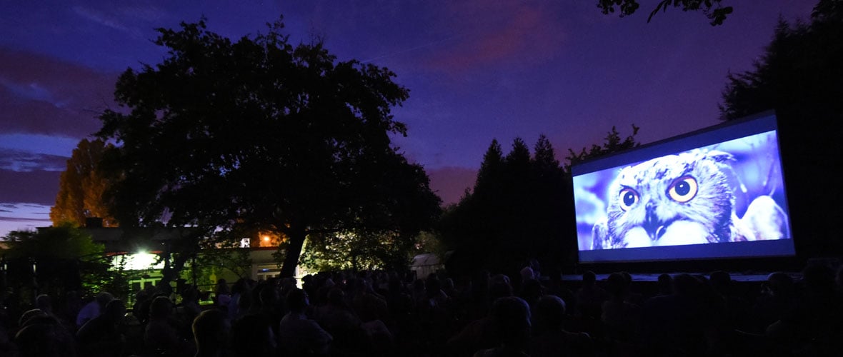 [ANNULE] Cinéma en plein air à La Fonderie