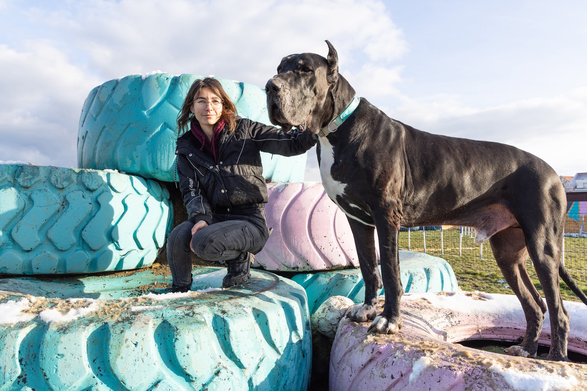 DOOGO CLUB : Un parc de loisirs canin au poil !