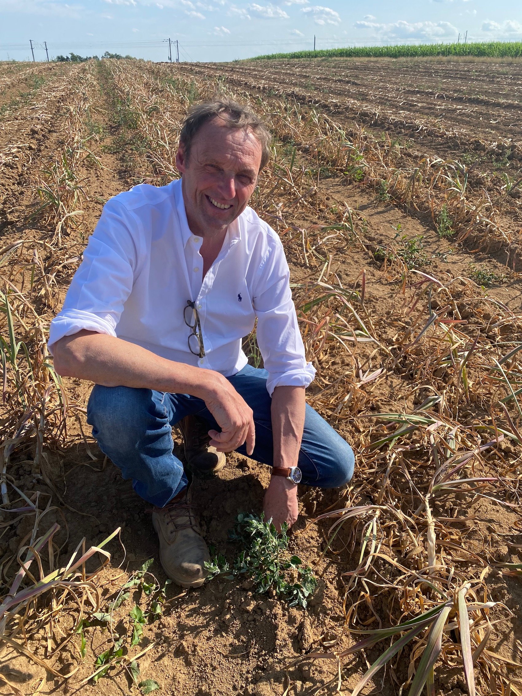 Colin Groupe : Ail et fines herbes