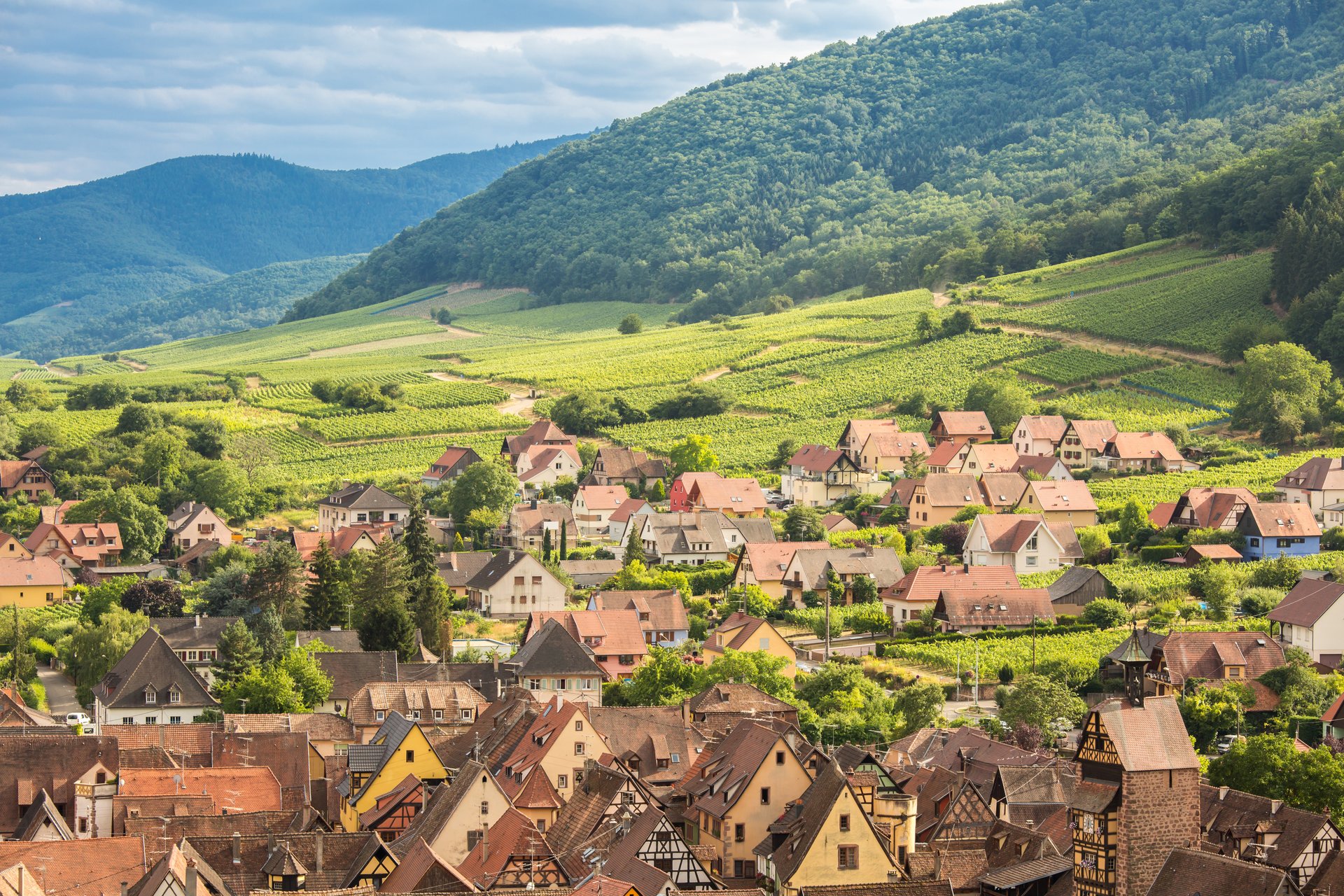 Tous entrepreneurs des territoires !