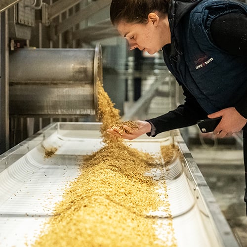MALTALA : des malts 100 % bio, 100 % alsaciens