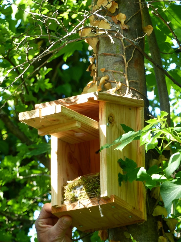 DIEHL METERING : L’entreprise qui accueille les oiseaux rares