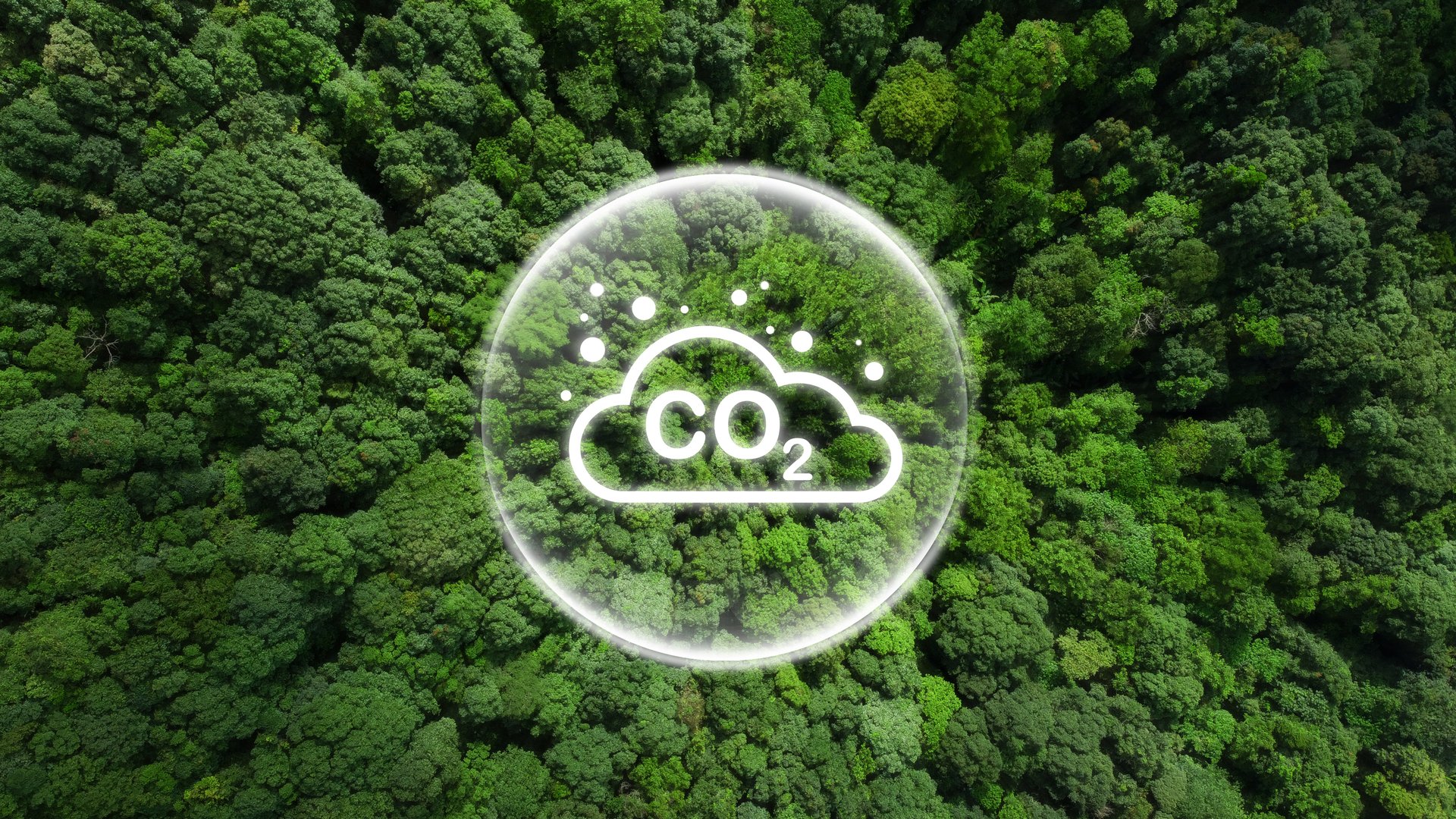 COB30 : Décarbonation : à six c’est mieux !