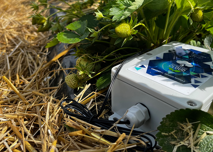EAU : quels enjeux pour les entreprises ?