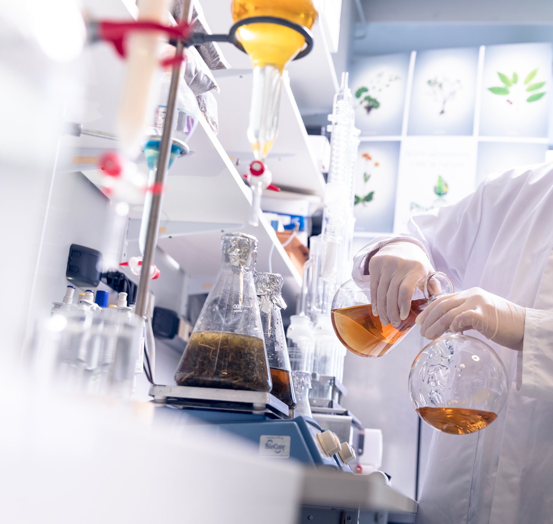 Phytodia : la nature, source d’innovation