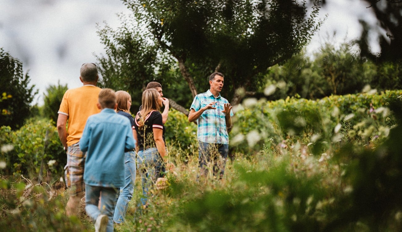 Alsace Destination Tourisme : un outil d'e-learning dédié au tourisme durable