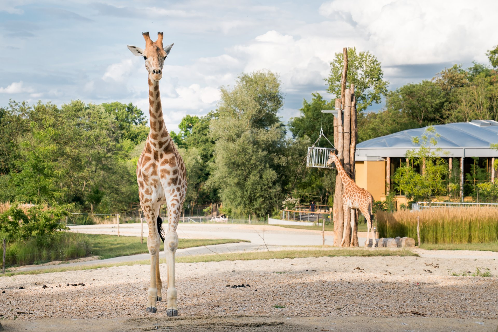 Horizon Afrique : un nouvel élan pour la biodiversité