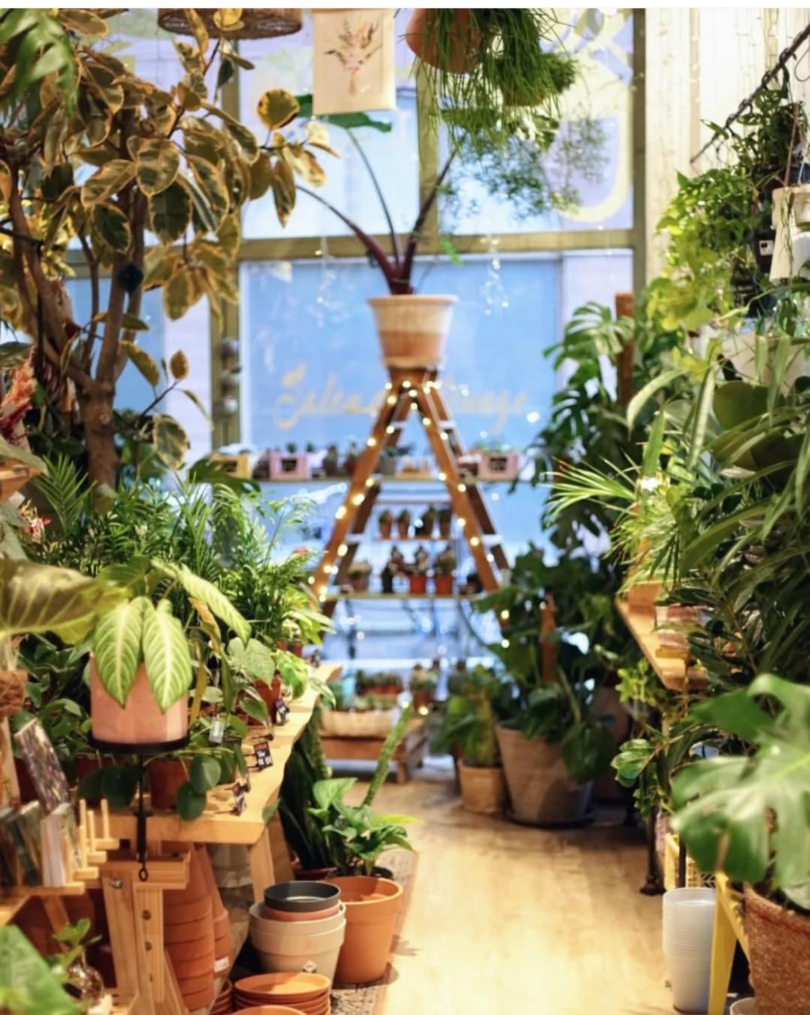 Une jardinerie en ville