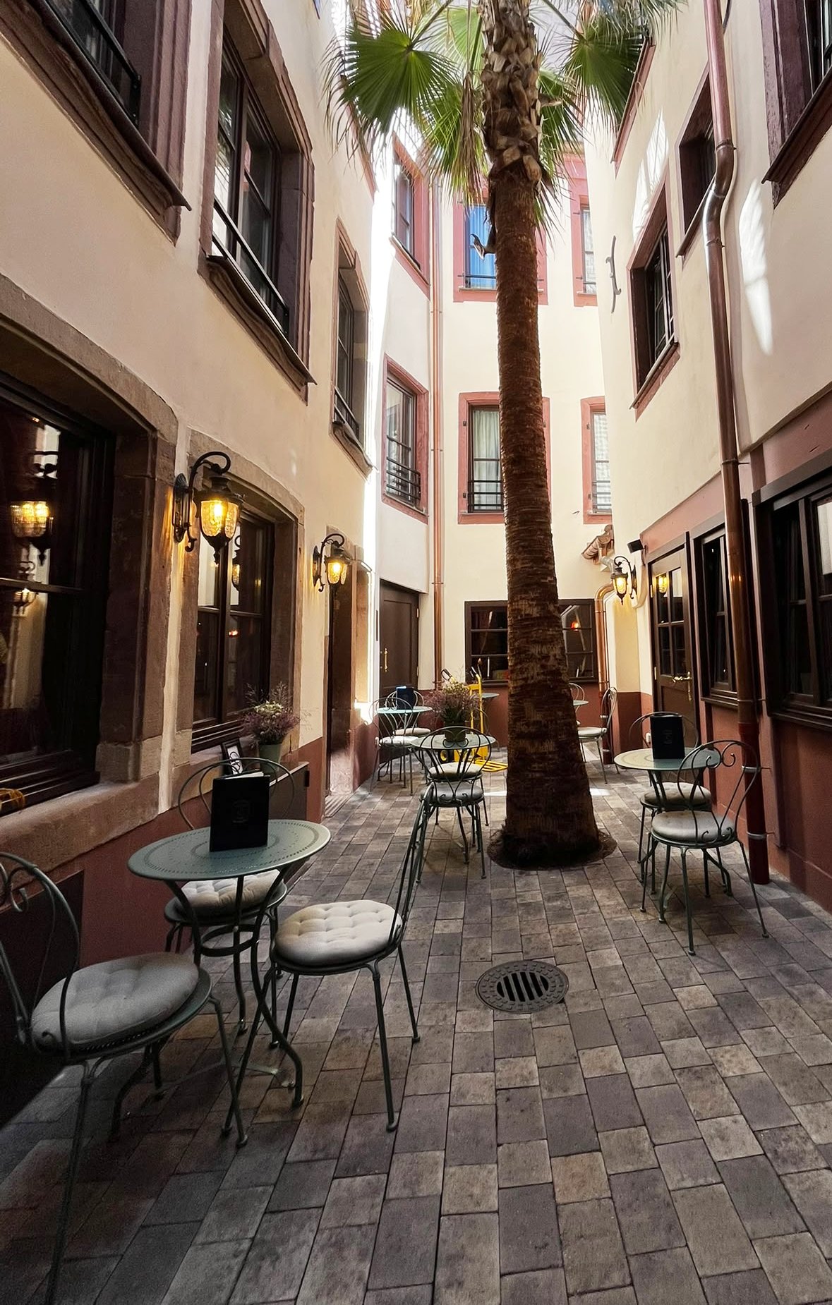 À la découverte de ceux qui font rayonner Strasbourg et le Bas-Rhin