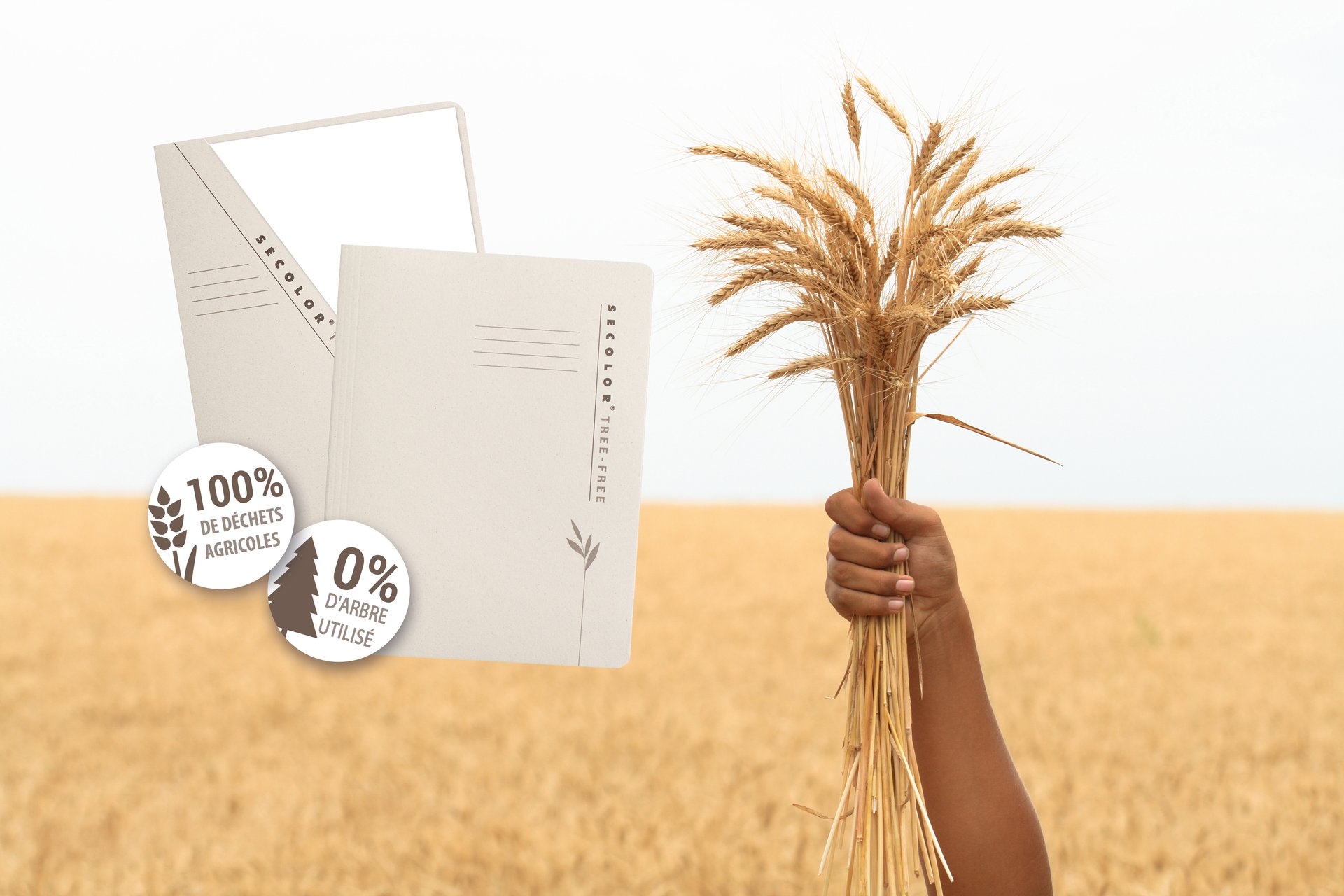 TARIFOLD : Des chemises en papier fabriquées sans arbres