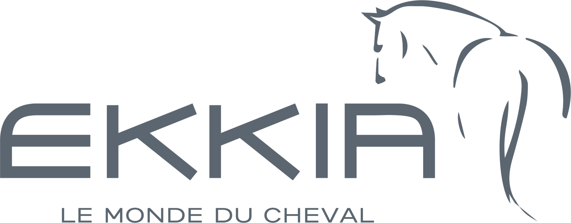 Ekkia