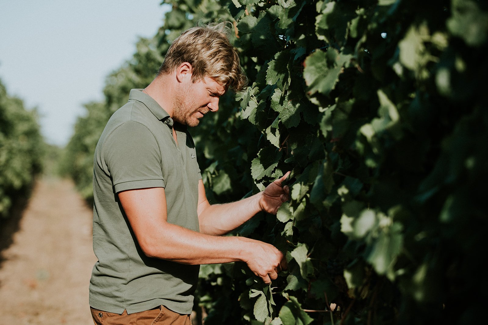 Domaine Sainte Joie : vin sur vingt