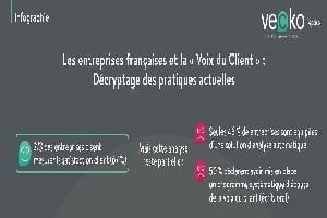 Infographie : Les entreprises françaises et la "Voix du Client " : Decryptage des pratiques actuelles