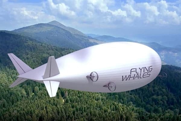 flying whales