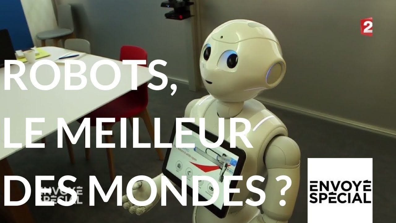Un reportage de Martin Mischi et Vincent Lepreux (diffusé dans « Envoyé Spécial » le 11 janvier 2018)