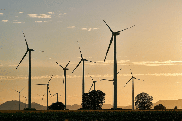 Amazon mise sur 100 % d’énergie renouvelable d’ici 2025
