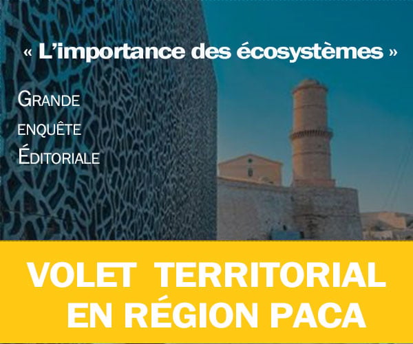 [Dossier] De l’importance des écosystèmes pour… les territoires, avec l’exemple de la Région Provence-Alpes-Côte d’Azur