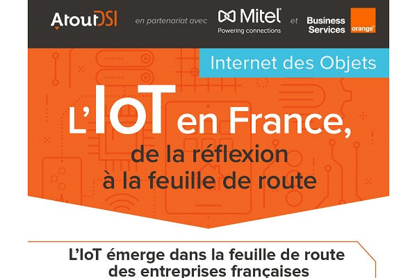 Infographie - L'évolution de l'IoT dans les entreprises françaises