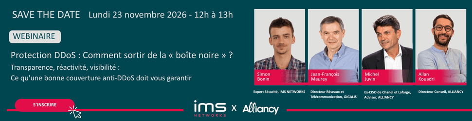 Webinaire - Protection DDoS : comment sortir de la « boîte noire » ?