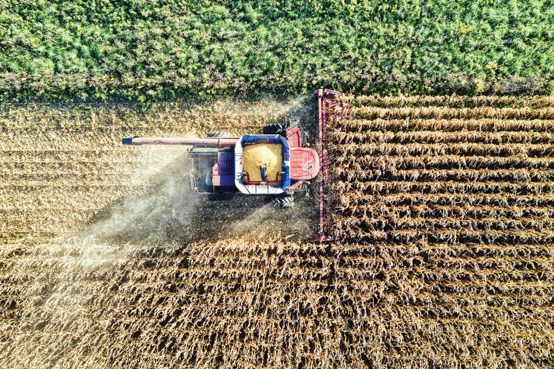 Agroalimentaire et grande distribution : nourrir l'Europe depuis la Belgique