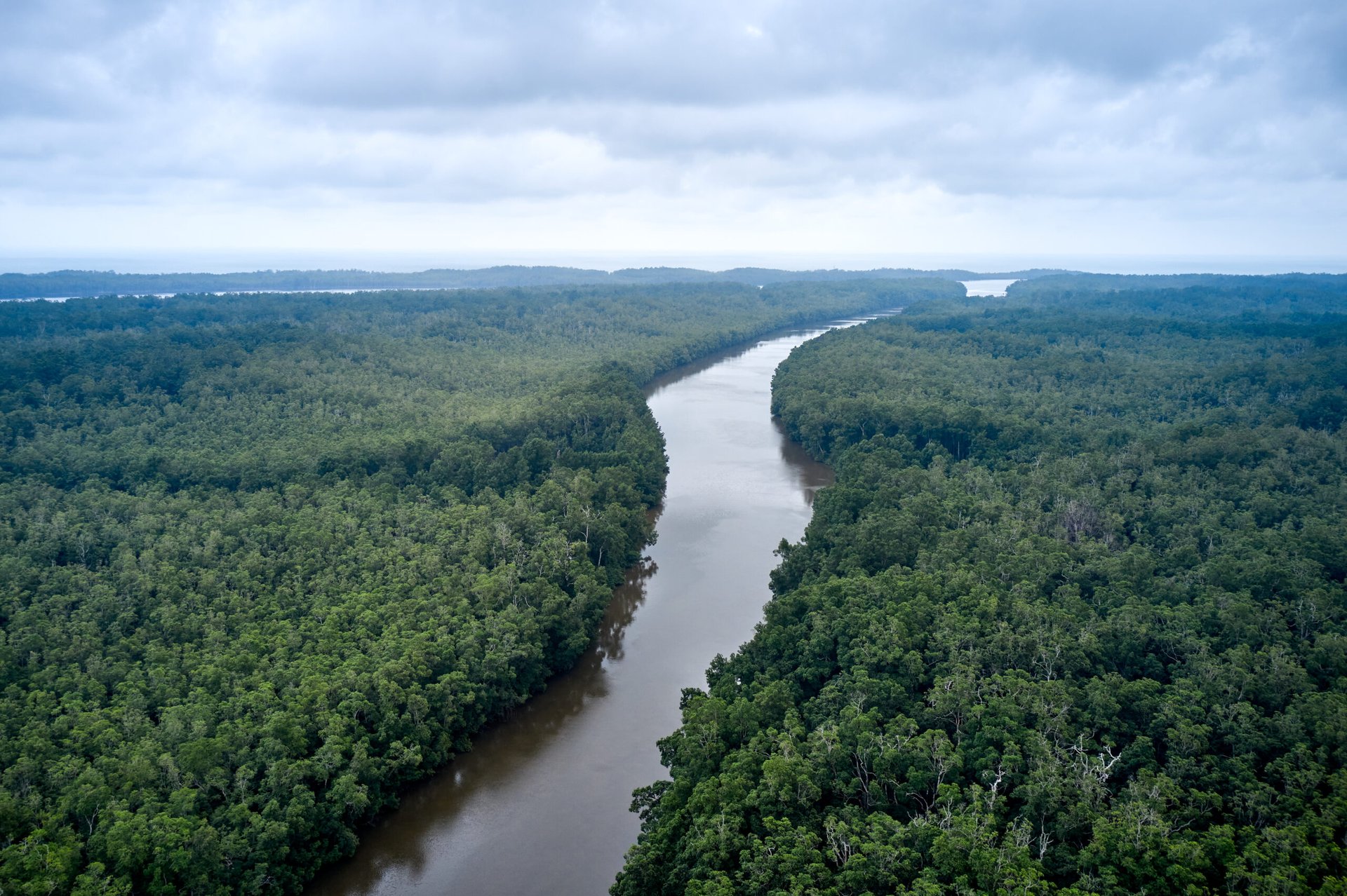 Niari : corridor stratégique entre forêts, minerais et agriculture de transition”