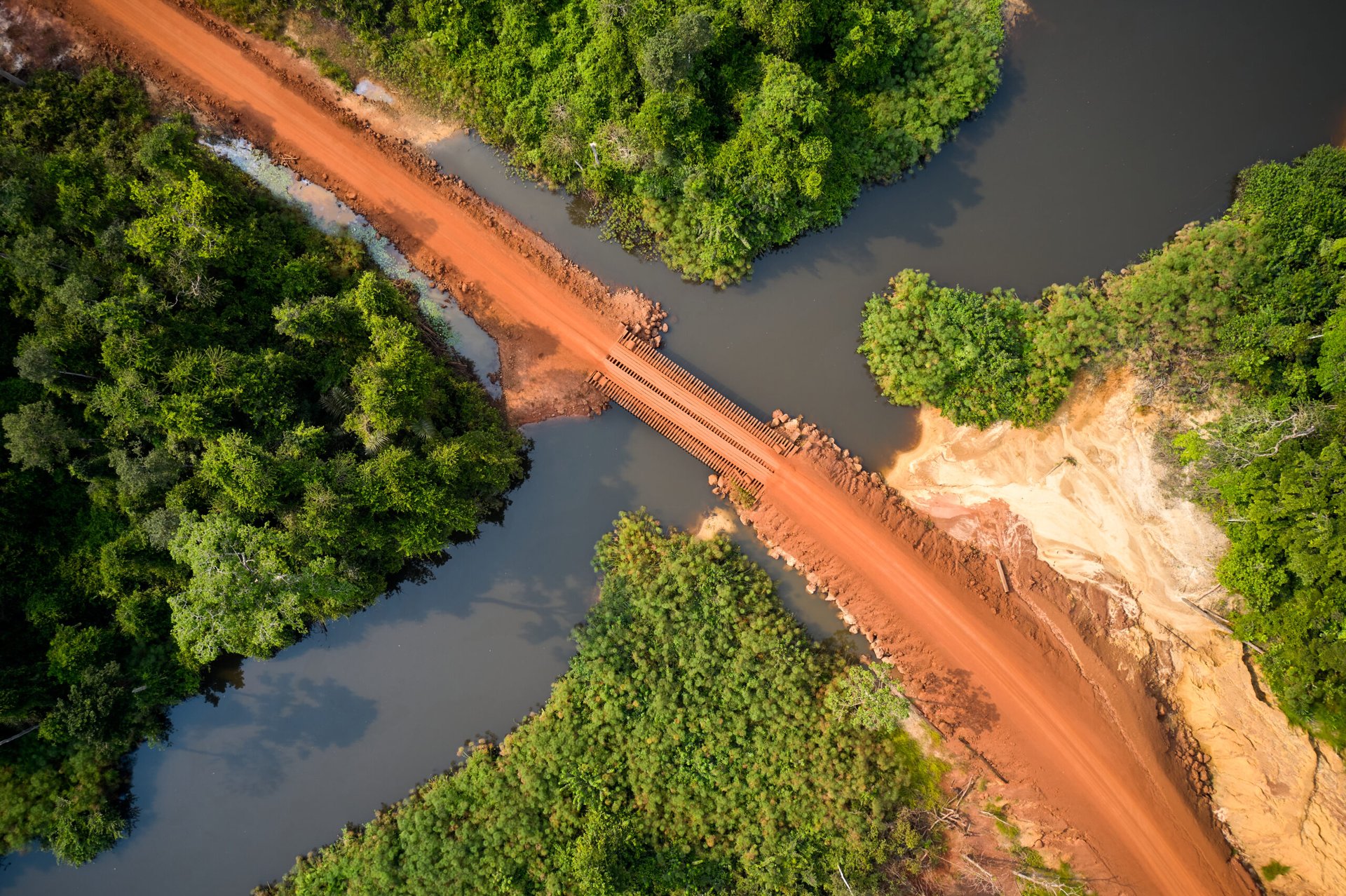 Afforestation et crédits carbone : le Congo, acteur stratégique de la finance climatique