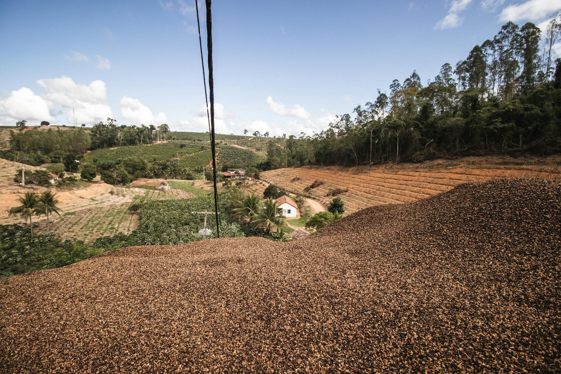 Les Plateaux : colonne vertébrale agro-pastorale du Congo