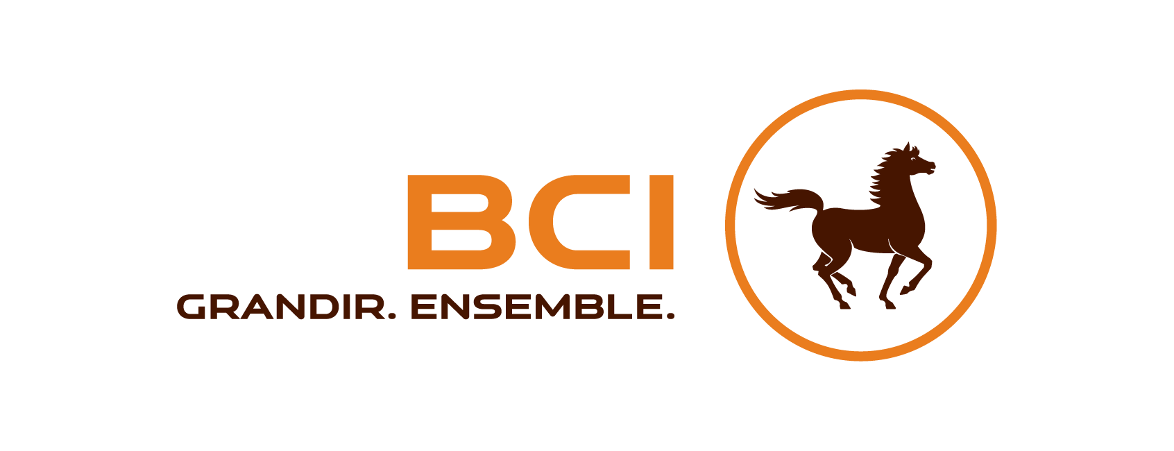 BCI : Banque Commerciale Internationale