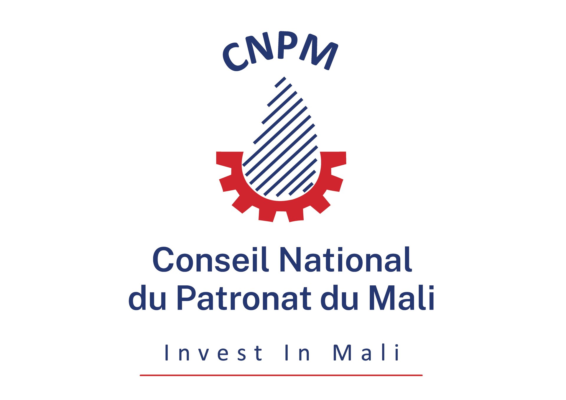 CNP Mali I Conseil National du Patronat du Mali